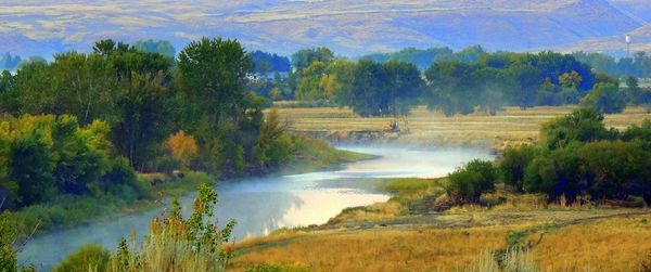 Biking on trail, trees, biking near me, trails near me, idaho, river, scenic