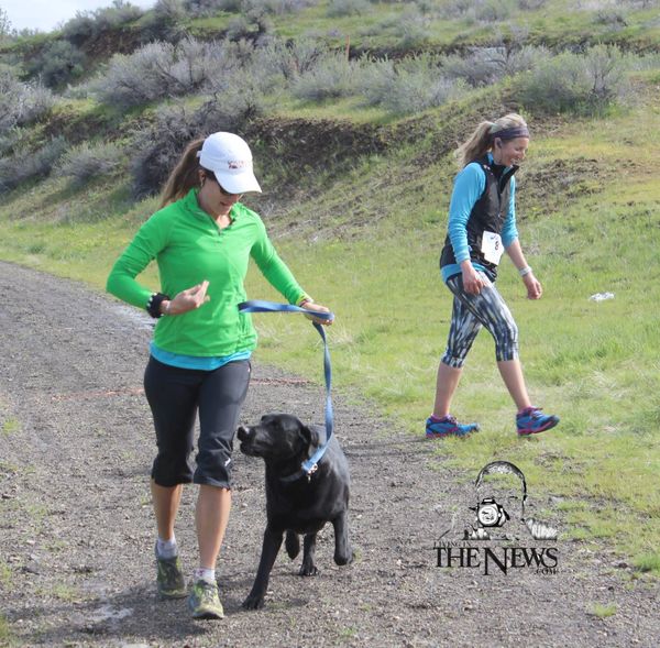 Weiser river trail, trail relay, 50k ultra, recreation idaho, dog running