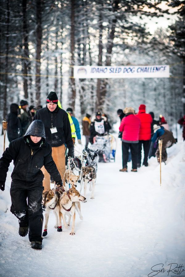 dog sled team, trails near me, snow, idaho, dogs, cute