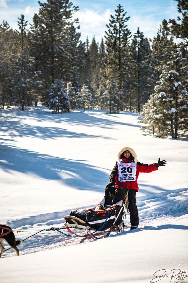 dog sled team, trails near me, snow, idaho, dogs, cute