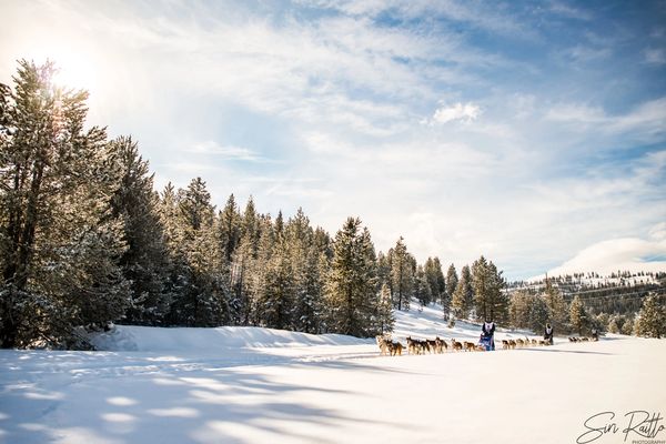 dog sled team, trails near me, snow, idaho