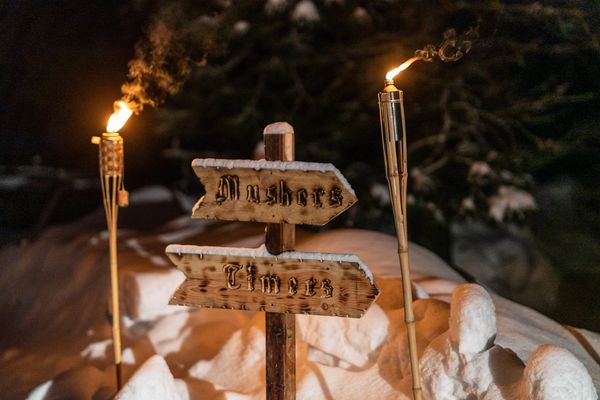 dog sled team, trails near me, snow, idaho, tiki torch