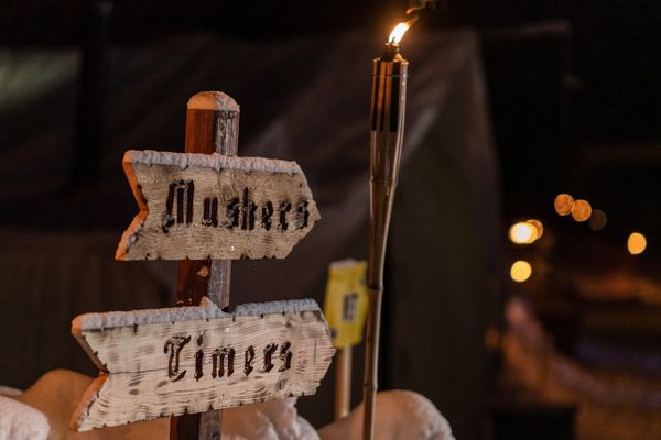 dog sled team, trails near me, snow, idaho, tiki torch