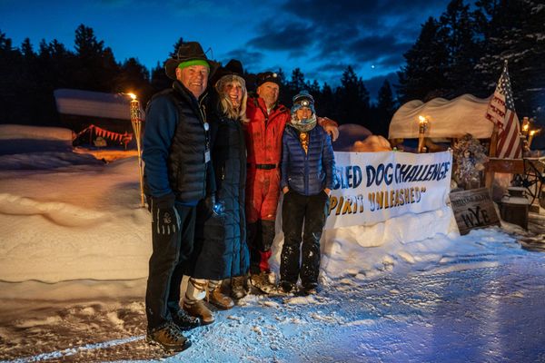 dog sled team, trails near me, snow, idaho, dogs, cute