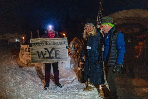 dog sled team, trails near me, snow, idaho, dogs, cute