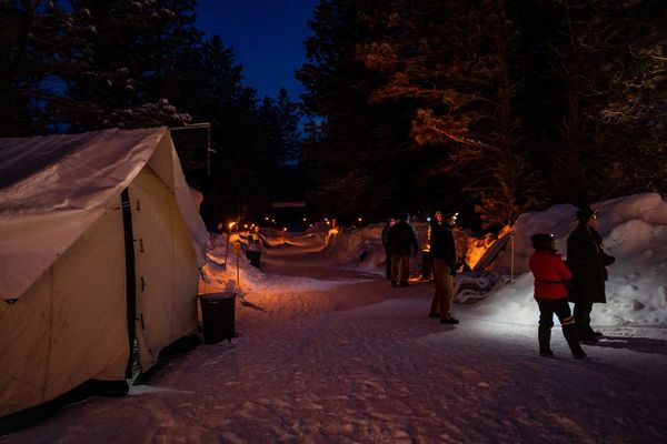 dog sled team, trails near me, snow, idaho, camp