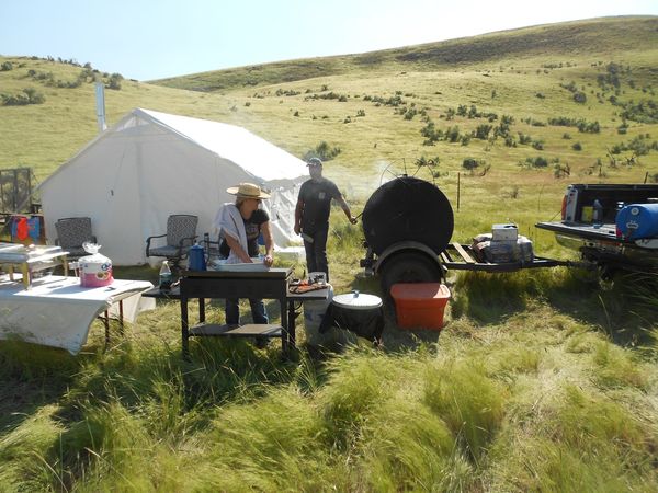 Horses, wagons, wagon train, trails near me, idaho, horseback riding