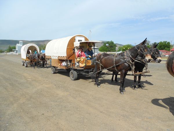 Horses, wagons, wagon train, trails near me, idaho, horseback riding
