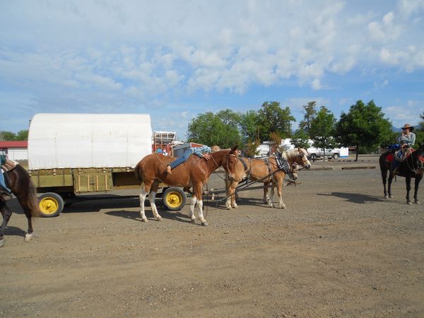 Horses, wagons, wagon train, trails near me, idaho, horseback riding