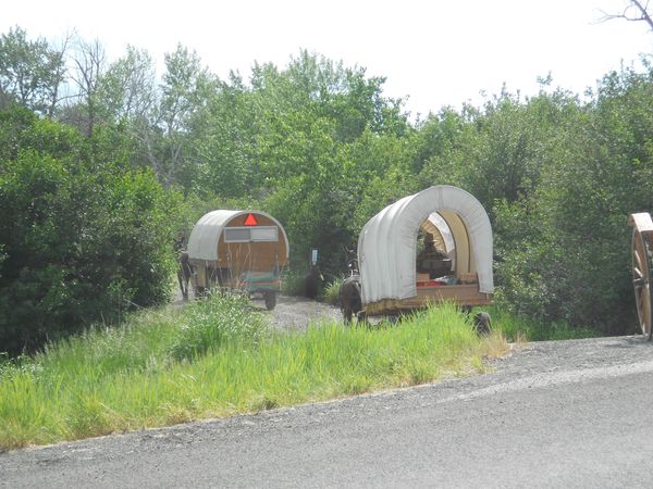 Horses, wagons, wagon train, trails near me, idaho, horseback riding