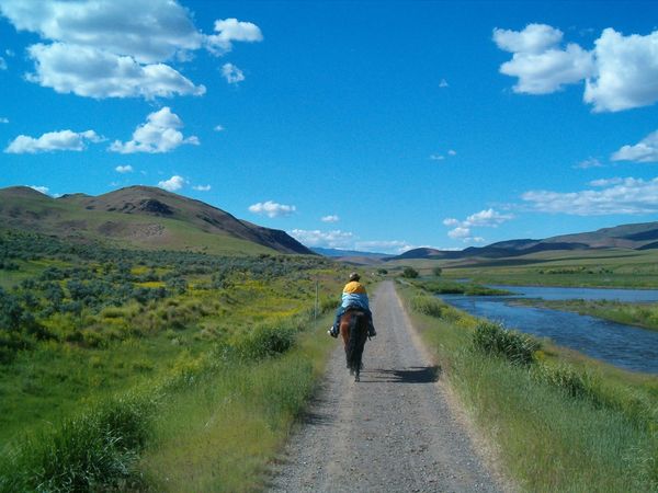 Horses, wagons, wagon train, trails near me, idaho, horseback riding