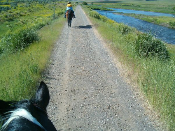 Horses, wagons, wagon train, trails near me, idaho, horseback riding