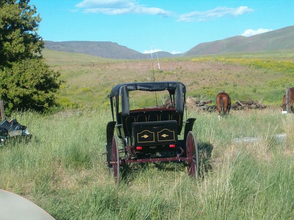Horses, wagons, wagon train, trails near me, idaho, horseback riding