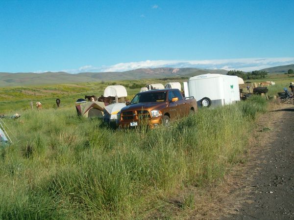 Horses, wagons, wagon train, trails near me, idaho, horseback riding