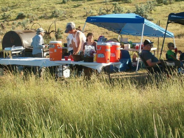 Horses, wagons, wagon train, trails near me, idaho, horseback riding