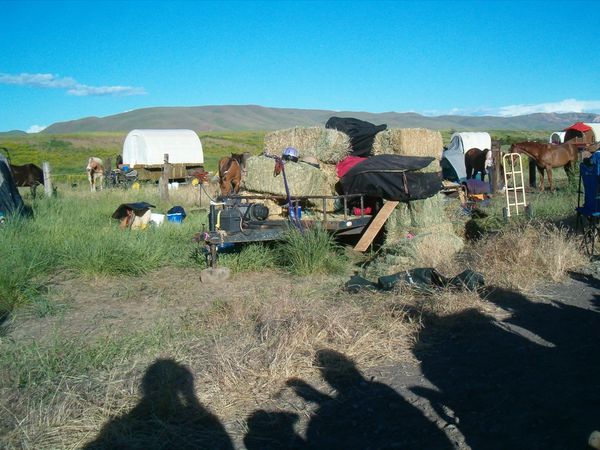 Horses, wagons, wagon train, trails near me, idaho, horseback riding