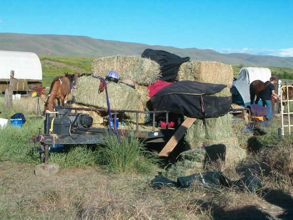 Horses, wagons, wagon train, trails near me, idaho, horseback riding