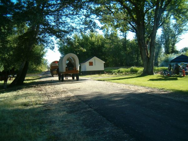 Horses, wagons, wagon train, trails near me, idaho, horseback riding