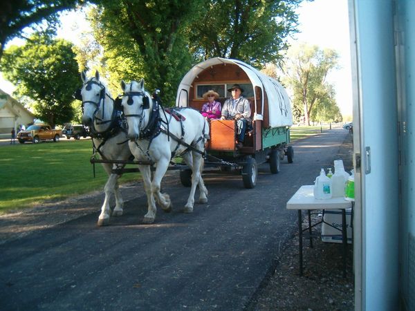 Horses, wagons, wagon train, trails near me, idaho, horseback riding