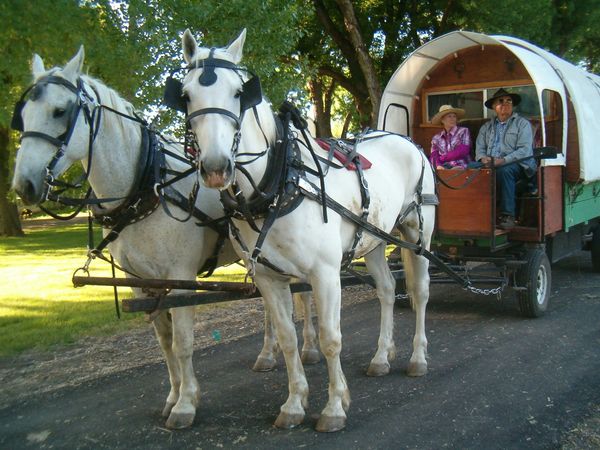 Horses, wagons, wagon train, trails near me, idaho, horseback riding