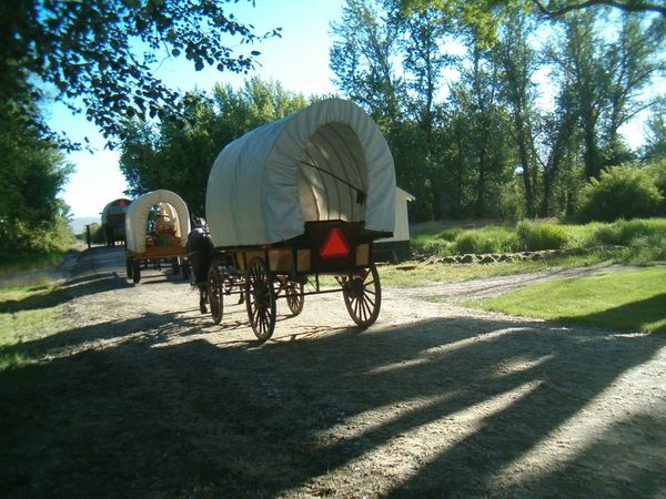 Horses, wagons, wagon train, trails near me, idaho, horseback riding