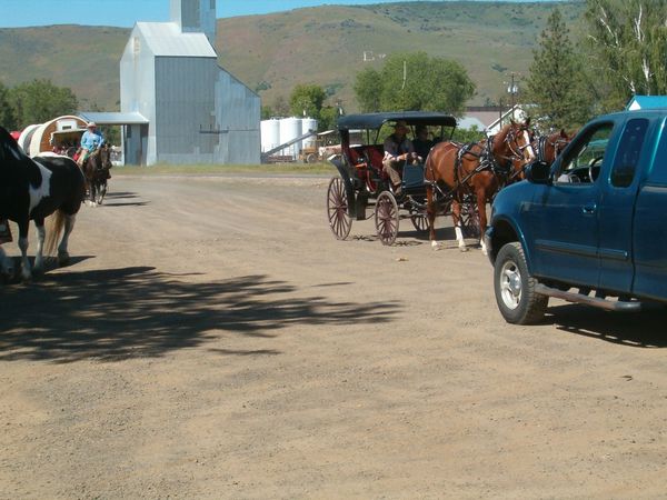 Horses, wagons, wagon train, trails near me, idaho, horseback riding