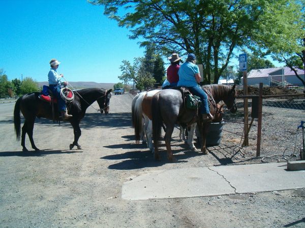Horses, wagons, wagon train, trails near me, idaho, horseback riding