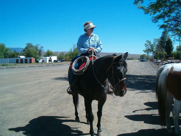 Horses, wagons, wagon train, trails near me, idaho, horseback riding