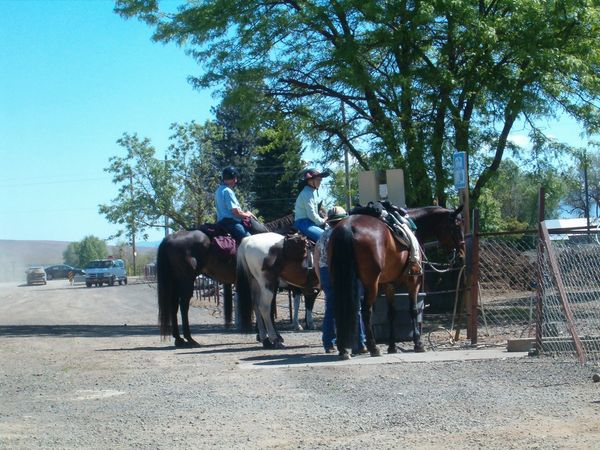 Horses, wagons, wagon train, trails near me, idaho, horseback riding