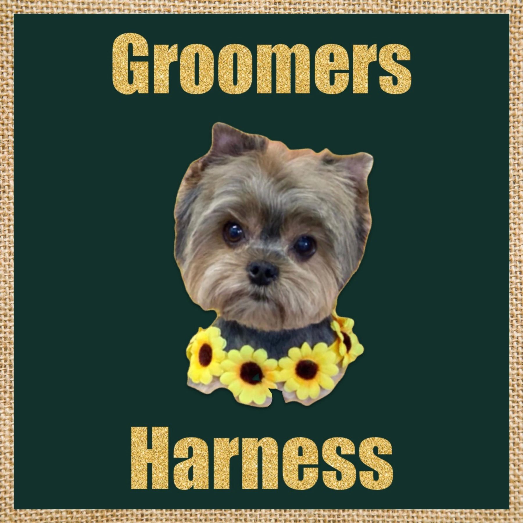 dog grooming harness