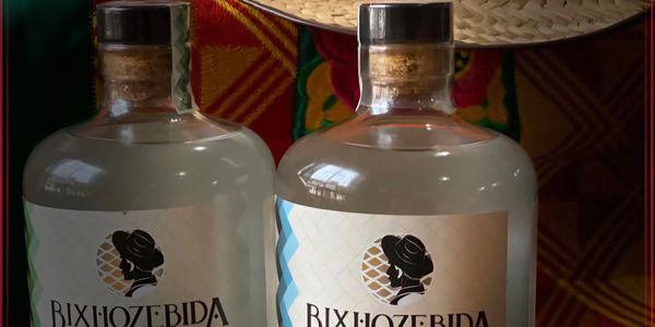 Two bottles of Bixhoze Bida beverage with cork stoppers.