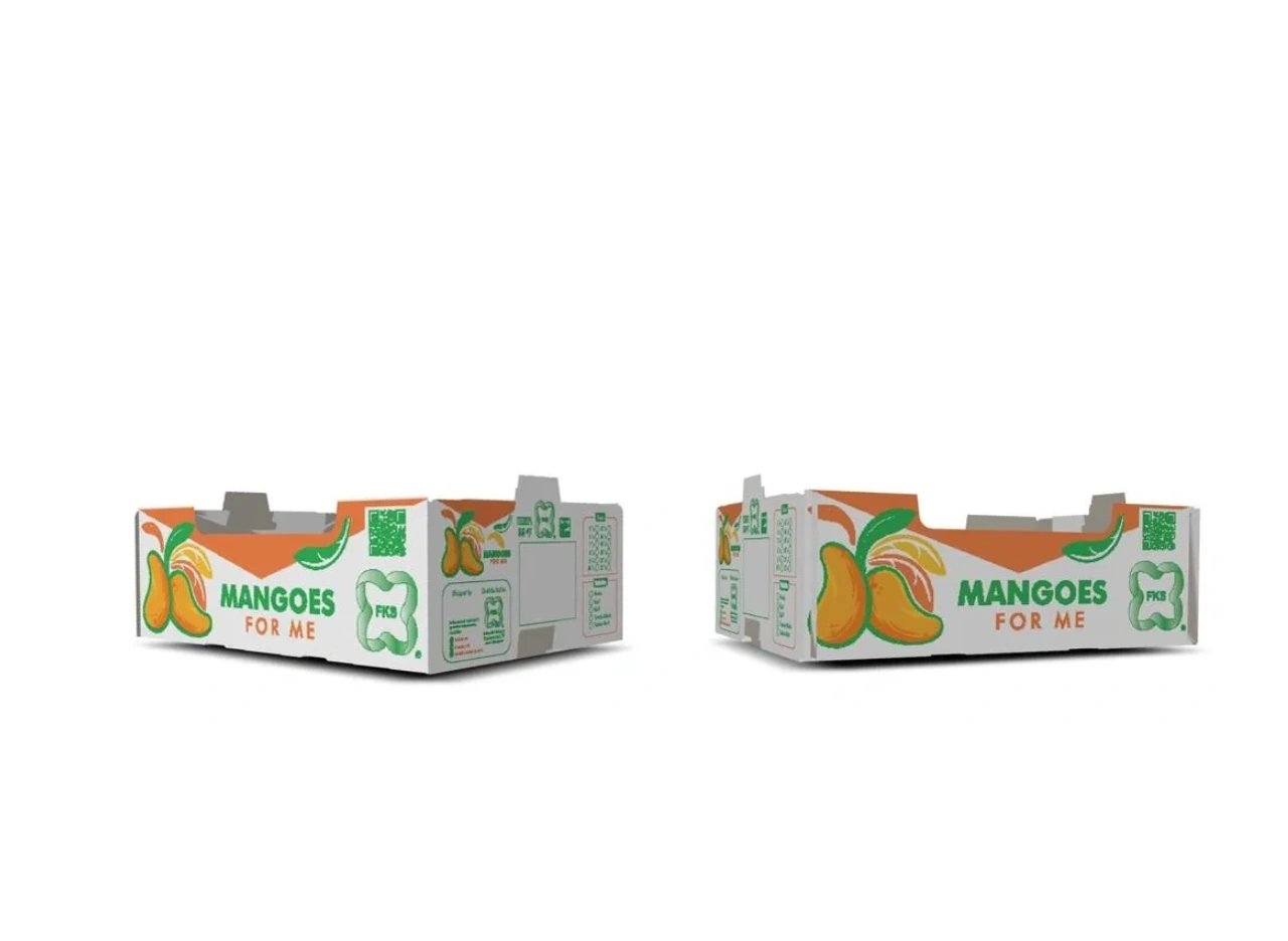 Two mango packaging boxes with bright designs and text.