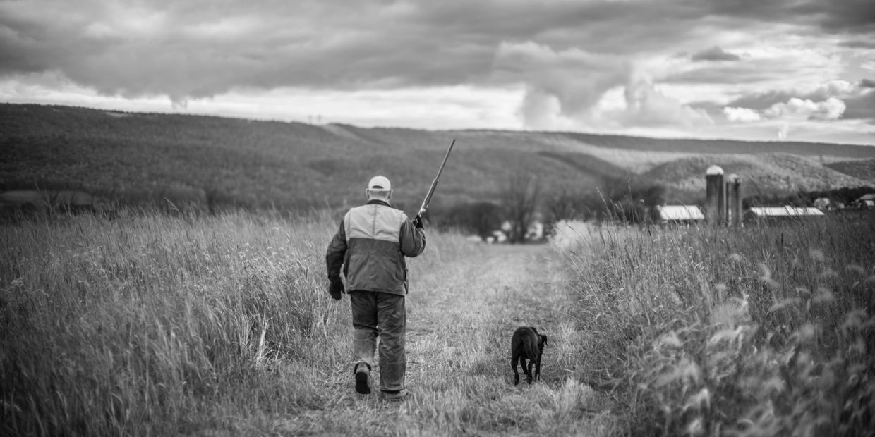 Pheasant hunting Orvis Endorsed Pennsylvania