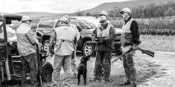 Pheasant hunting Orvis Endorsed Pennsylvania