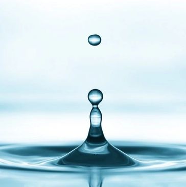 Moisture damages homes