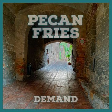 Pecan Fries Music Demand House Music Album Cover