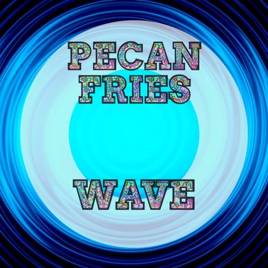 Pecan Fries Music Wave Album Cover Artwork Blue Wave