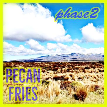 Pecan Fries Phase 2 Experimental House Album Cover