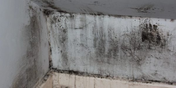 Mould removal