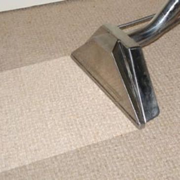 Green Professional Commercial Deep Steam Carpet Cleaners Wellington CO