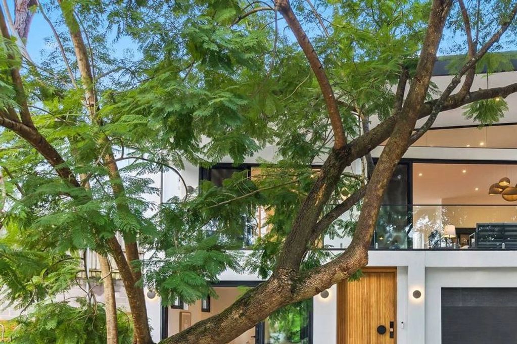 Modern house partially hidden by lush green trees in front.