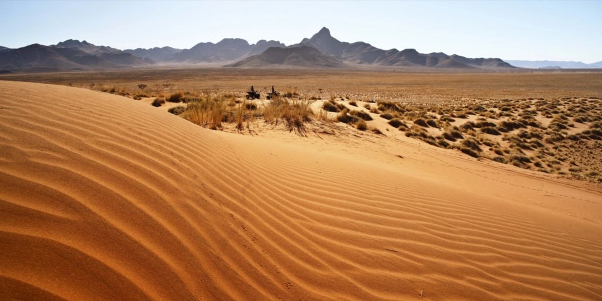 Red dunes of the Namib Desert, NamibRand Nature Reserve