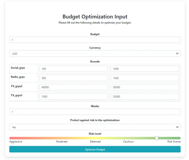 Marketing Budget Optimization, Budget Allocation, ROI Optimization, Risk Management in Marketing