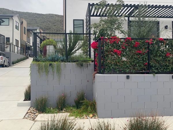 Modern white house with black trim, greenery, and red flowers on a cloudy day.