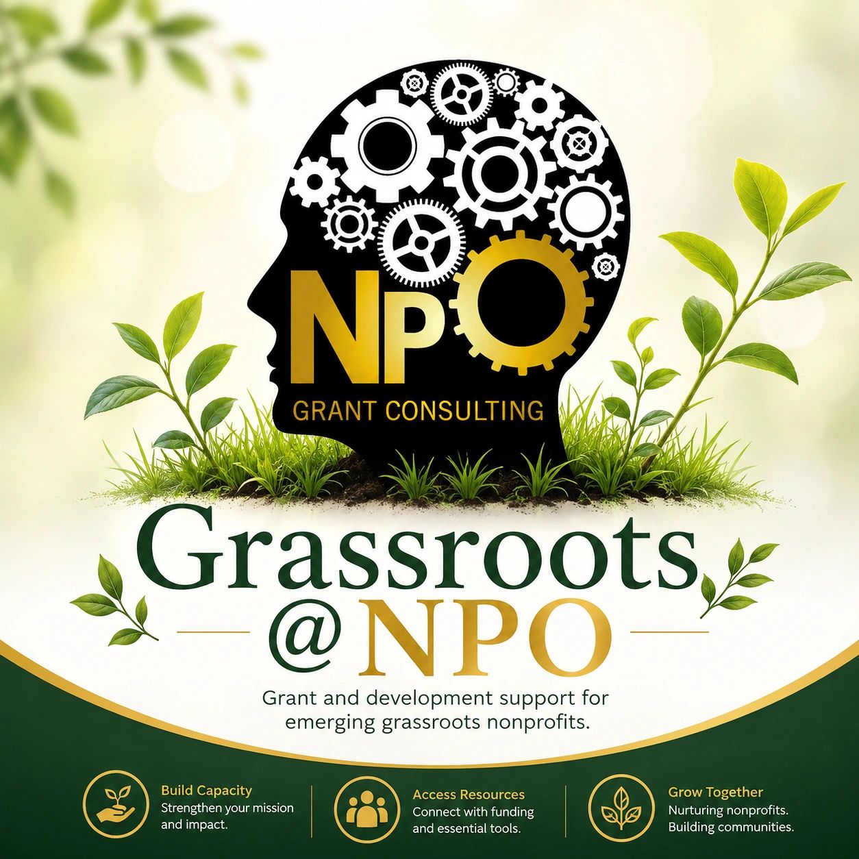 Logo for NPO Grant Consulting with a focus on grassroots nonprofits.
