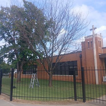 A churchyard with a black fence, two trees, and a ladder on green grass under a blue sky.