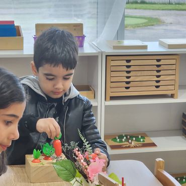 “The senses, being explorers of the world, open the way to knowledge.” – Maria Montessori