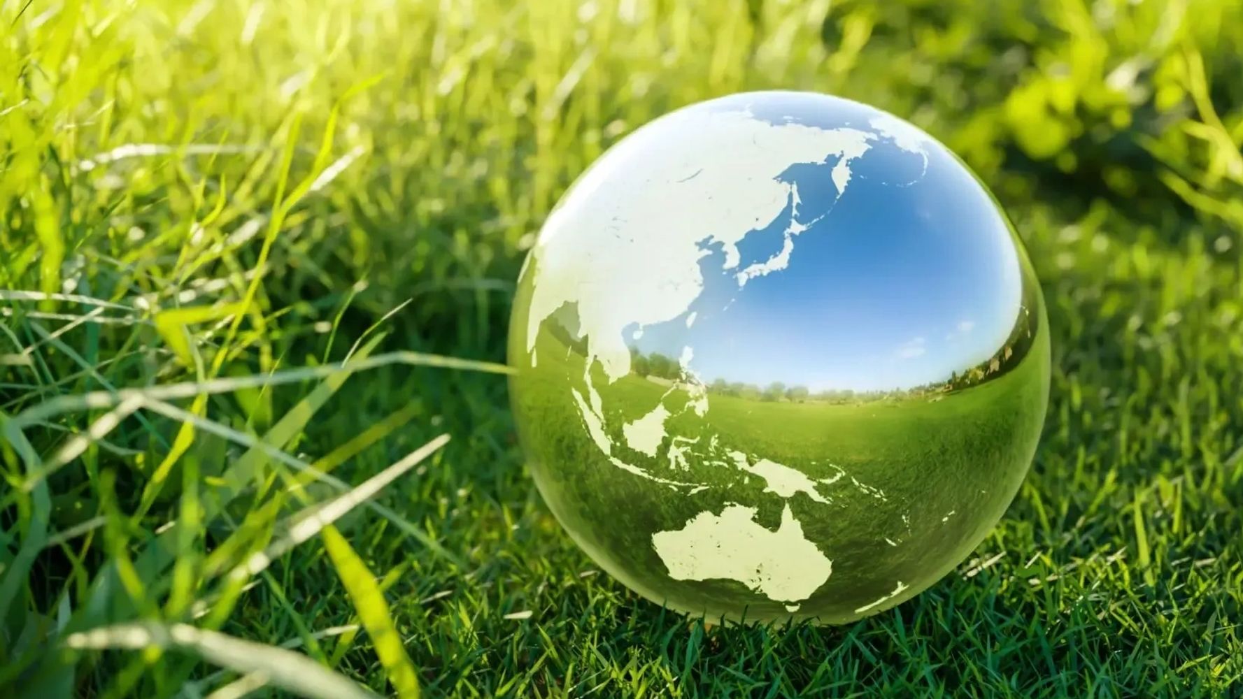 Glass globe on green grass symbolizing environmental awareness.