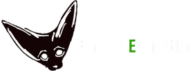Fennec Education