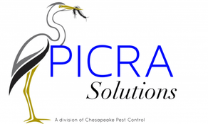 Picra Solutions
